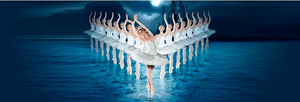 National Tour of SWAN LAKE Comes To Wharton Center For One Night Only 