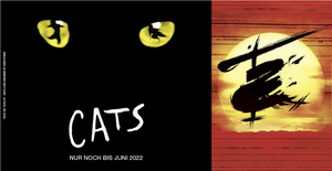 Review: CATS AND MISS SAIGON Image