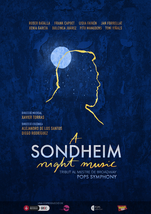 Se han agotado las entradas de A SONDHEIM NIGHT MUSIC Image