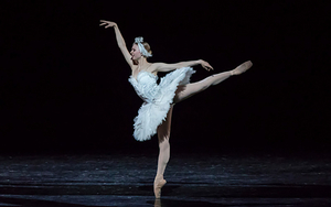 The National Ballet of Canada Announces 2022/23 Promotions; Genevieve Penn Nabity Promoted to Principal Dancer 
