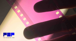 The Film Exhibition Fund Announces Grantees For Inaugural Celluloid Series Support Grants Image