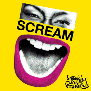 Brooklyn Funk Essentials Announces 'Scream' Image
