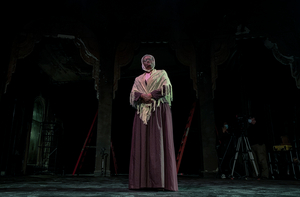 Artist Zuhairah McGill to Bring SOJOURNER to National Black Theatre Festival in August Image