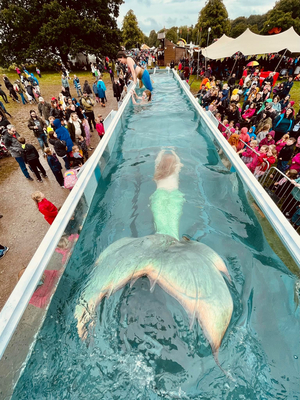Family Festival Deva Fest 2022 to Take Place in August Image