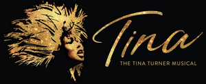 Tickets Go On Sale For TINA - THE TINA TURNER MUSICAL at PPAC This Week 