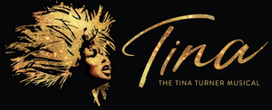 Tickets Go On Sale For TINA - THE TINA TURNER MUSICAL at PPAC This Week Image