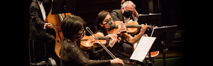 Orquesta Sinfónica Nacional Presents Valses de Strauss This Week Image