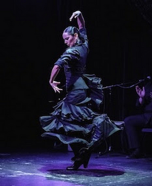 Frankin Stage Company to Present Flamenco Vivo Carlota Santana at Chapel Hall This Month 