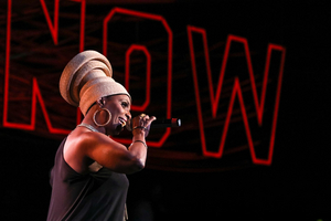 Virginia Theatre Festival To Present NO FEAR AND BLUES LONG GONE: NINA SIMONE Image