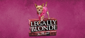 LEGALLY BLONDE Comes to Jefferson Performing Arts Center This Week 