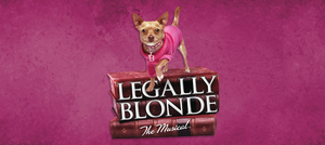 LEGALLY BLONDE Comes to Jefferson Performing Arts Center This Week Image