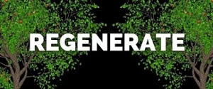 Feature: 3rd Act Theatre Company announces Season 4: REGENERATE Image