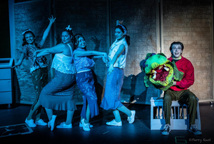 Review: LITTLE SHOP OF HORRORS at FMCT Image