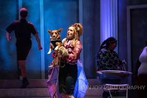 Review: LEGALLY BLONDE THE MUSICAL at Essential Health Plaza At The Lights 