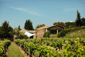 Côtes du Rhône Wines for Quality and Value Image