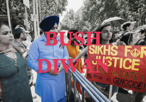 BUSH DIWAN Comes to Benalla Art Gallery Image