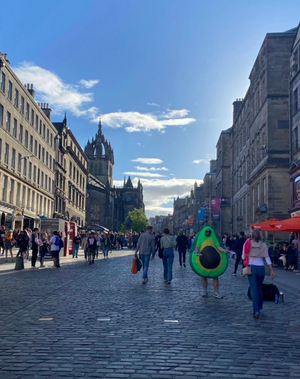 Edinburgh 2022: BroadwayWorld's Edfringe Reviews Image