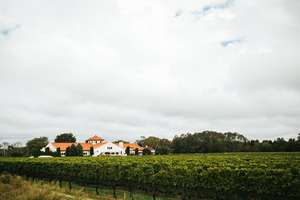 LONG ISLAND WINES-Get to Know the Region and Selections Image