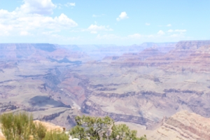 Student Blog: Another Summer Has Come and Gone Image