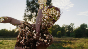 National Gallery's 4th National Indigenous Art Triennial: Ceremony begins national tour  Image