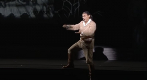 New National Theatre Will Stream DIE ZAUBERFLOTE Online For Free Image