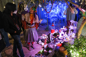 Interview: Katelyn Schiller and Nick Rheinwald-Jones on Their Immersive Interactive DRAGON SHOW: THE EXTENDED TAIL Image