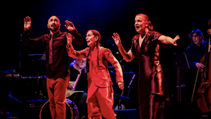 Town Hall Presents Meredith Monk + BoaC All-Stars In New York Premiere Of MEMORY GAME, September 15 Image