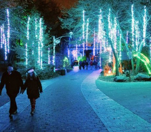 PHILADELPHIA ZOO Lights Up the Holidays with More that a Million Shimmering Lights Image