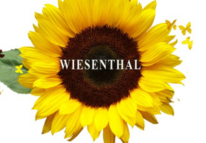 WIESENTHAL Comes to The Wells Theatre Next Month 