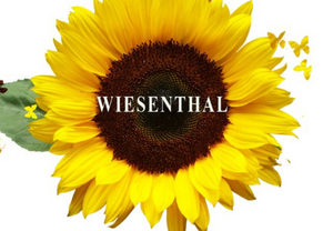 WIESENTHAL Comes to The Wells Theatre Next Month Image