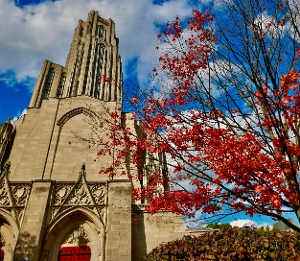Student Blog: Back in the 'Burgh Image