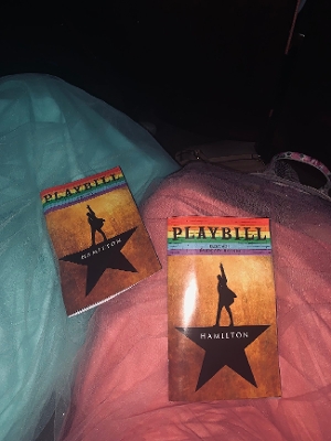 Student Blog: My Experience with HAMILTON Image