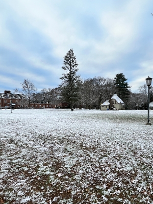 Student Blog: Here We Go! Spring Semester! Image