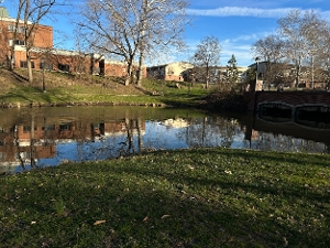 Student Blog: Back to School Image