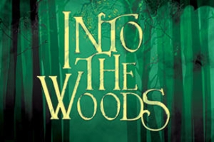 Feature: INTO THE WOODS at Mezzo Theatrical Productions 