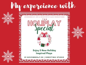Student Blog: My Experience with HOLIPLAY 