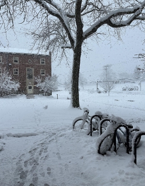 Student Blog: Back to Business: My Second Semester Image