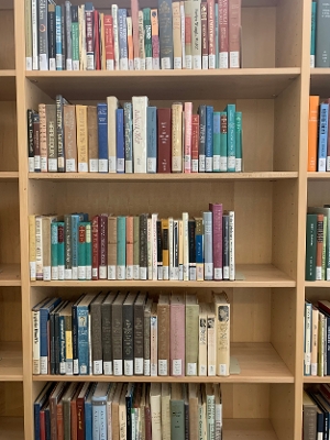Student Blog: How to Support Your Local Libraries Image