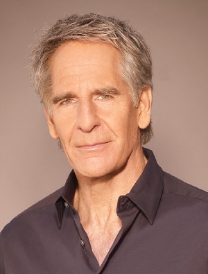 Interview: Scott Bakula and Chelsea Field of MAN OF LA MANCHA at Peterborough Players  Image