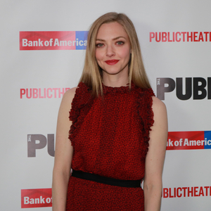 Amanda Seyfried in Talks to Lead Netflix Horror-Thriller THINGS HEARD & SEEN Image