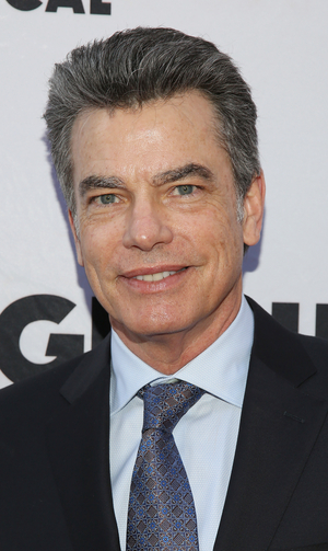 Interview: Peter Gallagher Talks Starring in PALM SPRINGS on Hulu Image