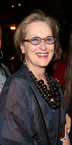 Meryl Streep, Lang Lang, Sondra Radvanovsky and More Take Part in THE RESOUNDING CONCERT Benefit Event Image