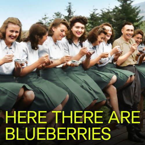 HERE THERE ARE BLUEBERRIES & More Lead Washington DC's May 2023 Top Picks Image
