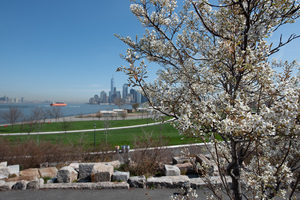 Celebrate Earth Day On Governors Island 