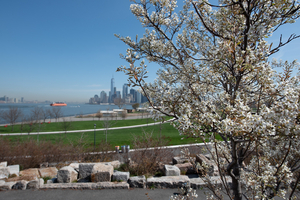 Celebrate Earth Day On Governors Island Image