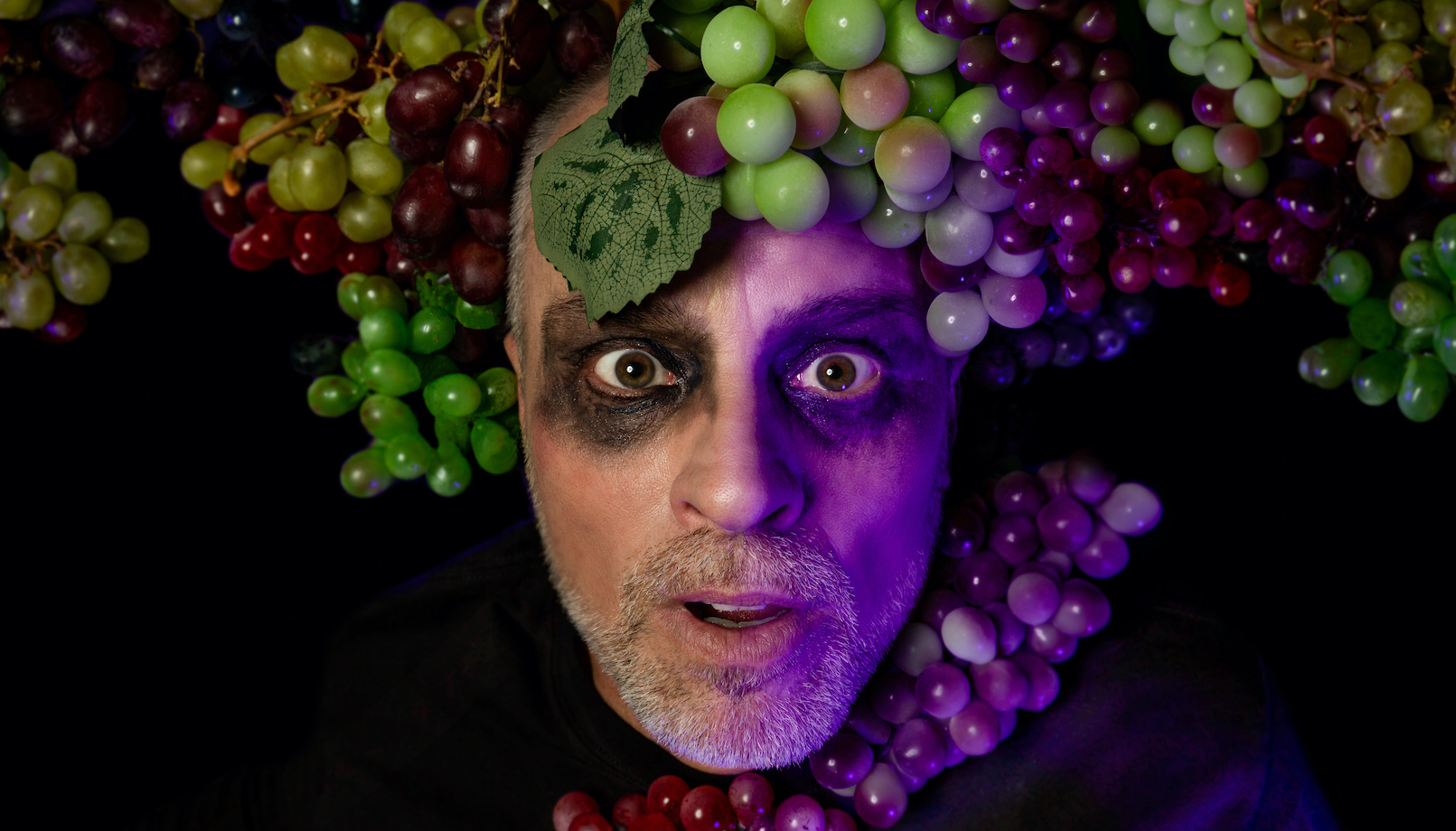 PLANET OF THE GRAPES - And Epic Live Toy Theater Experience Image