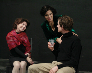 Interview: Paul Sand on the World Premiere of His Play THE PILOT WHO CRASHED THE PARTY 