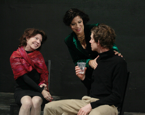 Interview: Paul Sand on the World Premiere of His Play THE PILOT WHO CRASHED THE PARTY  Image