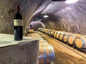 MORAGA BEL AIR VINEYARDS for Distinctive Red and White Estate Wines 
