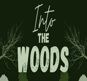 Possom Juniors Will Perform INTO THE WOODS This Month  Image